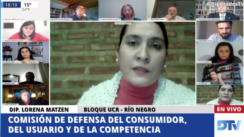 Diputados avanza en el proyecto de Moratoria