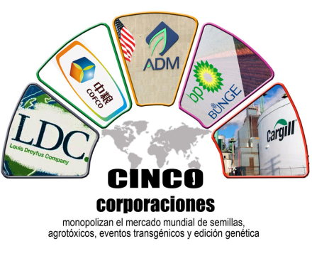 Agro5.jpg