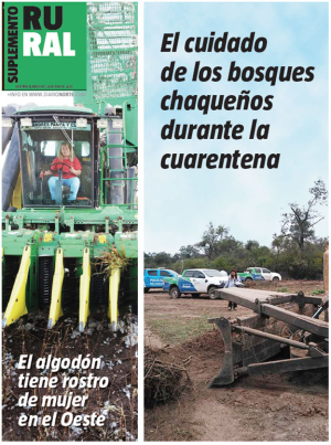 El cuidado de los bosques chaqueños durante la cuarentena