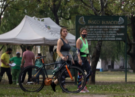 resistencia2.jpg