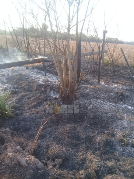 incendio2.jpg