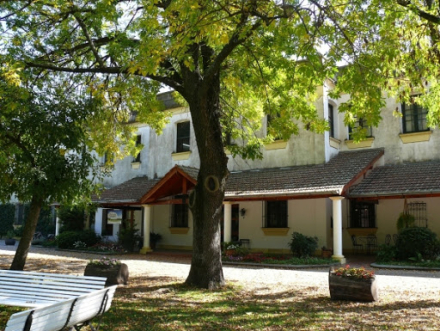 mariapolis7.jpg