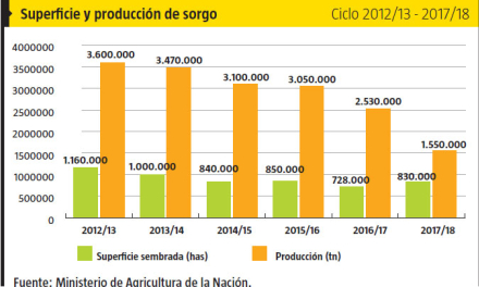 sorgo2.jpg