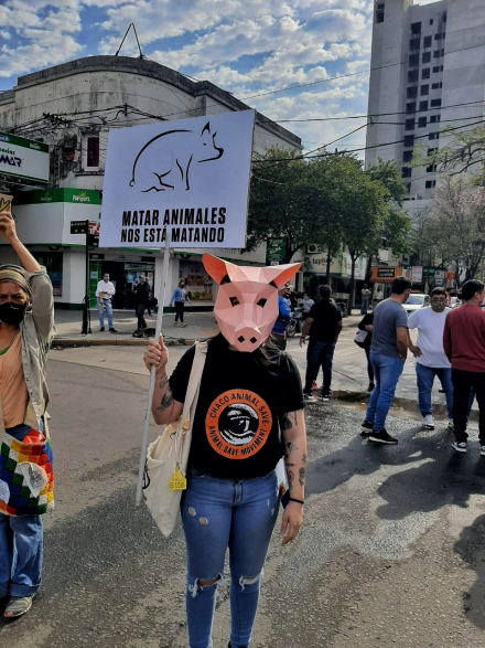 Chaco Animal Save.jpeg