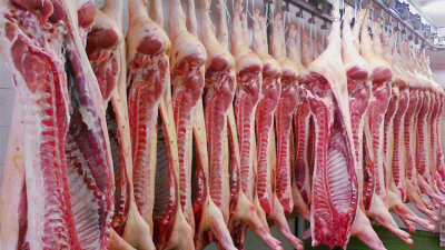China quiere recuperar su stock de carne de cerdo en nuestra región