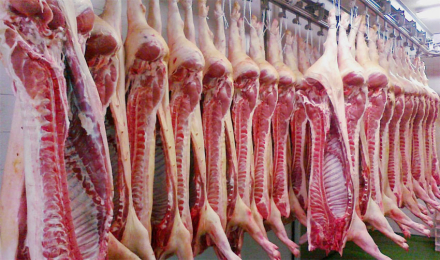 carne.jpg