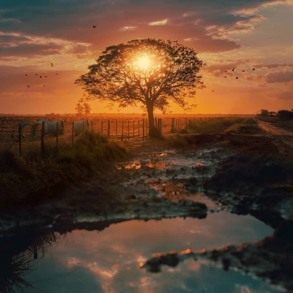 Atardecer en el Chaco