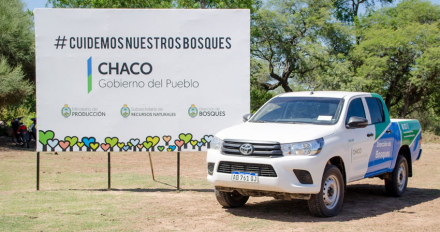 Bosques-impene2.jpg