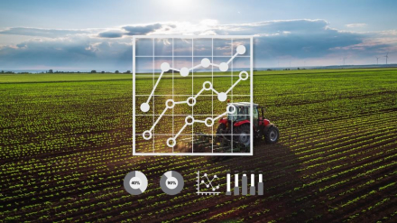imagen producto 2.jpg