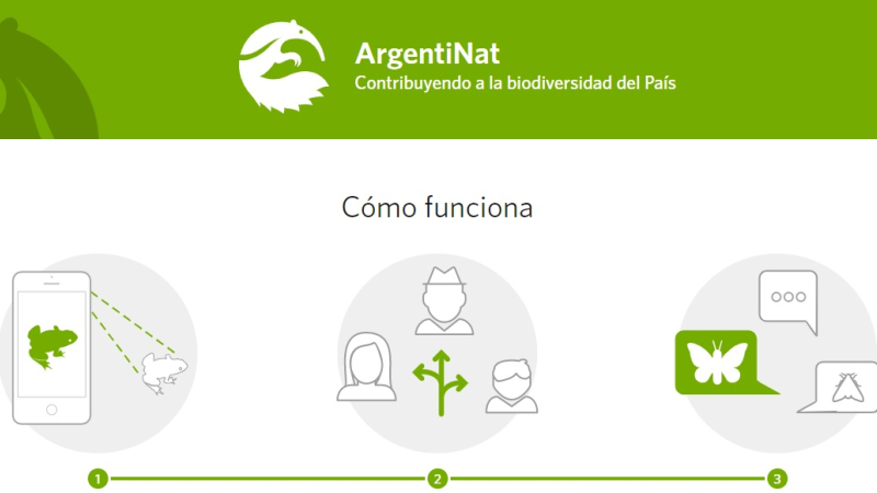 Invitan a registrar y compartir la biodiversidad que nos rodea