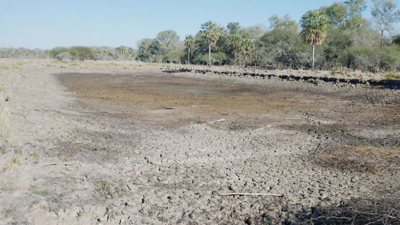 Comisión de Emergencia Agropecuaria analiza el déficit hídrico