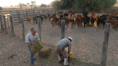 “La producción mixta lo que genera es más estabilidad que rentabilidad”