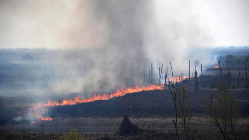 “Los incendios son un síntoma, una herramienta de expansión”
