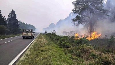 Las pérdidas por incendios forestales en Corrientes superan los 4 millones de dólares