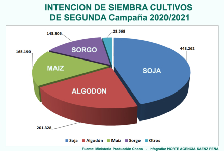 Intencion de siembra Chaco.jpg