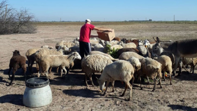 La pandemia plantea inéditos desafíos en la nueva normalidad