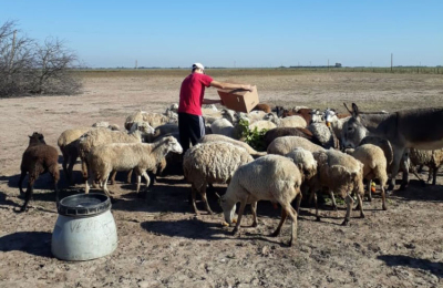 La pandemia plantea inéditos desafíos en la nueva normalidad