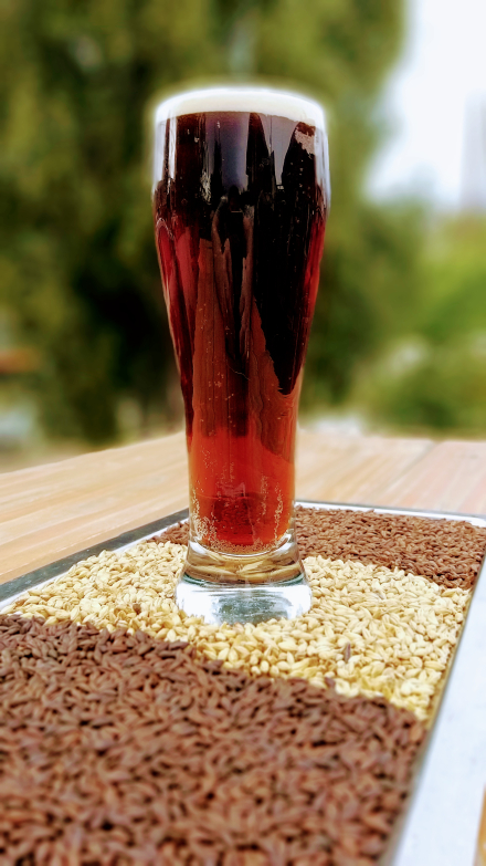 Cerveza Negra con Frambuesa 11 A.jpg