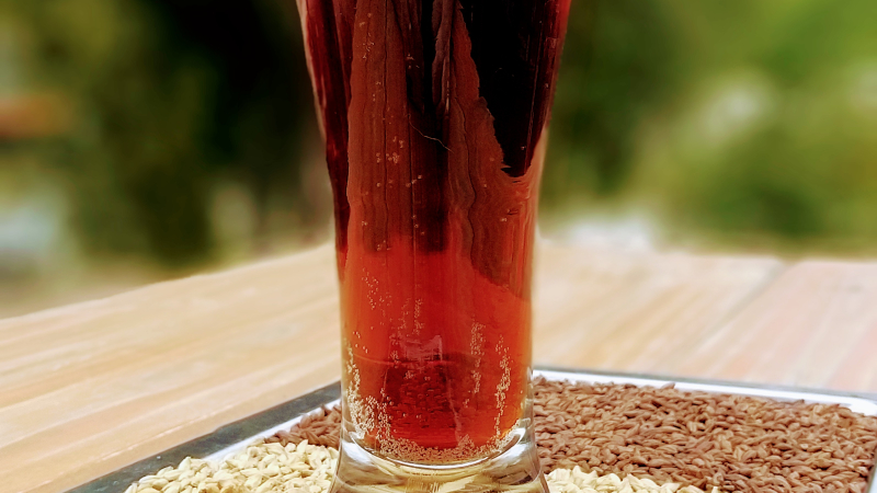 Cerveza negra con frambuesa, el deleite patagónico que eligen los argentinos