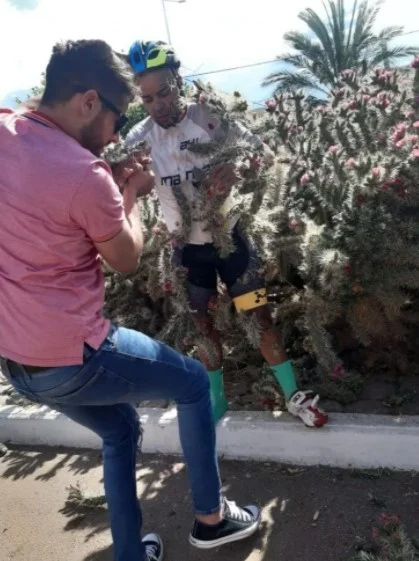cactus.jpg
