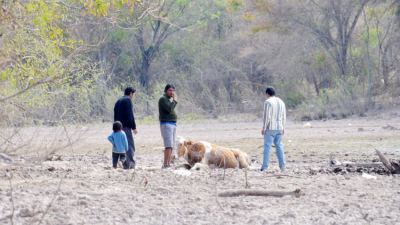La Nación, al fin, declaró la situación de desastre y emergencia agropecuaria para el Chaco