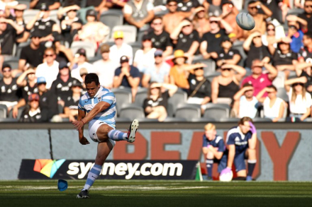 los pumas2.jfif