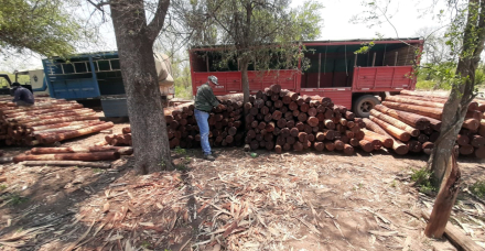 postes incautados2.jpg