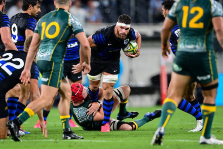 Pumas-Australia.jfif