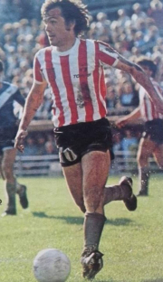 sabella2.jpg