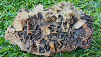 Hallaron una extraña piedra en una chacra de Misiones