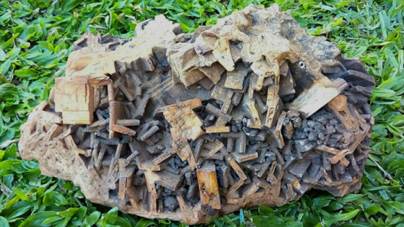 Hallaron una extraña piedra en una chacra de Misiones
