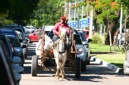 traccion4.jpg