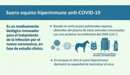 suero-equino.jpg