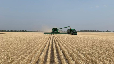 El campo apuesta a un 2021 con mayor producción y menos restricciones