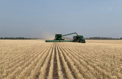 El campo apuesta a un 2021 con mayor producción y menos restricciones
