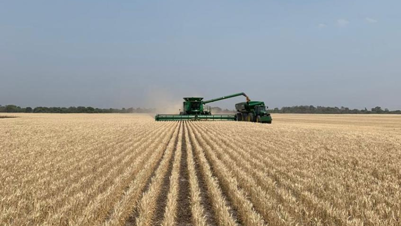 El campo apuesta a un 2021 con mayor producción y menos restricciones