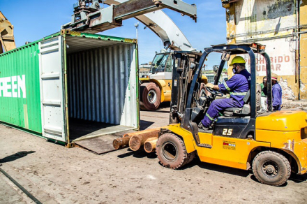 exportacion-forestal-(2).jpg