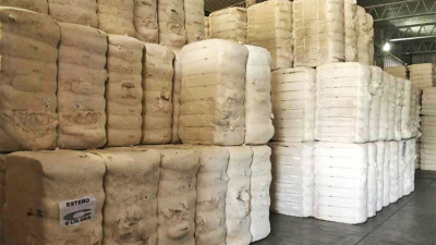 En 20 días la fibra del textil aumentó 14 pesos por grado