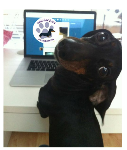 salchi virtual.jfif