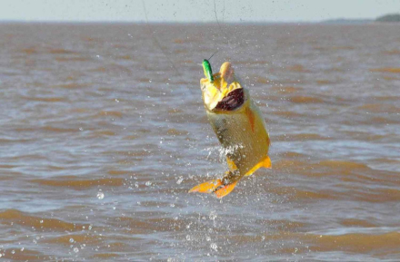 CHACOFOTO2.jpg