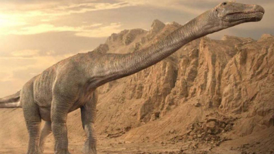 Neuquén: el titanosaurio de la Patagonia es el más antiguo hallado en el mundo