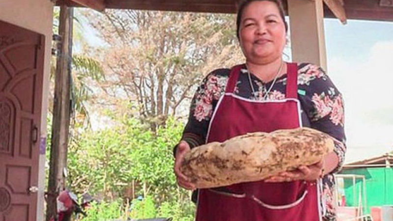 Encontró vómito de cachalote y lo puede vender a 260 mil dólares