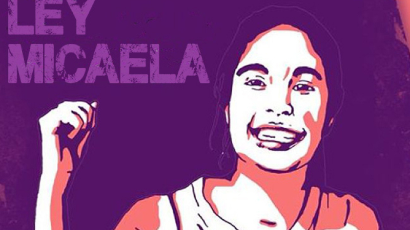 Ley Micaela: el Poder Legislativo inicia las capacitaciones en perspectiva de género