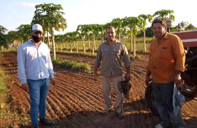 Tres Isletas quiere desarrollar un polo frutihortícola
