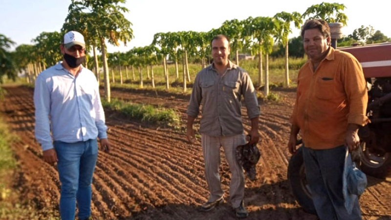 Tres Isletas quiere desarrollar un polo frutihortícola