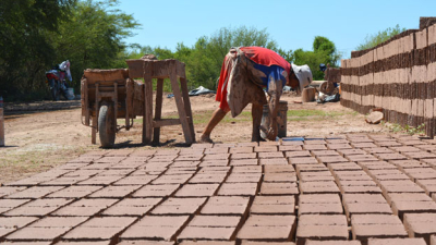 En Sáenz Peña se producen cuatro millones de ladrillos mensuales
