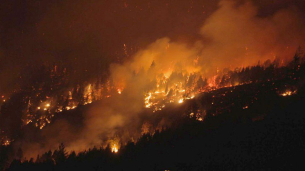 incendio-chubut.jpg