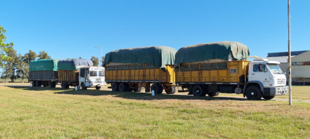 transportistas algodon.JPG