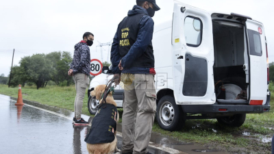 Dos detenidos y 10 kilos de marihuana en el ingreso a Colonia Benítez