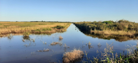 58canal pampa del cielo.jpg